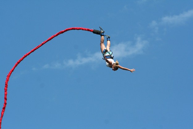 2062207045_42c0081a65_z